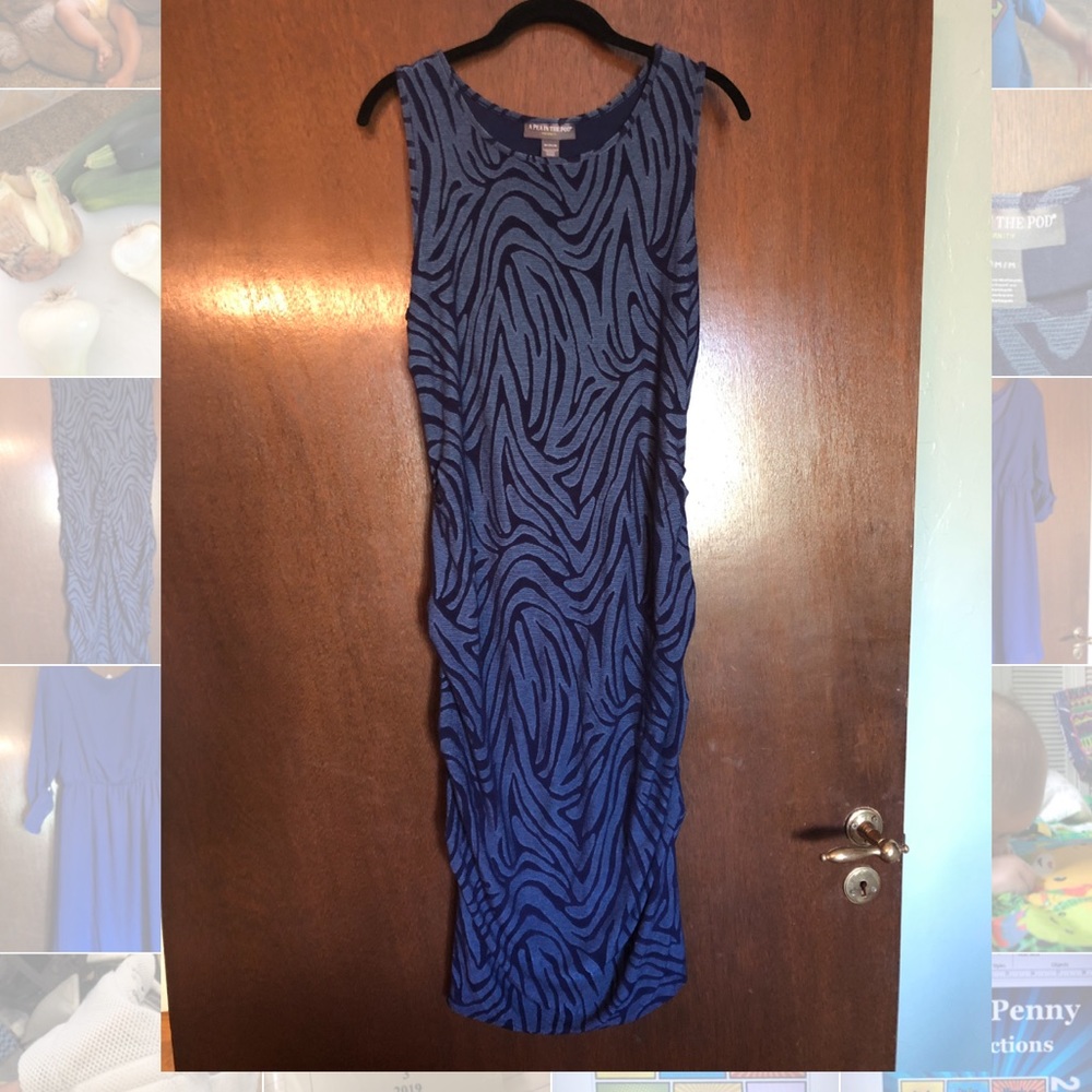 A Pea in the Pod Blue Zebra Dress